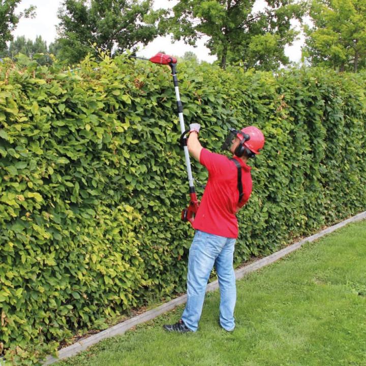 Actual product image Einhell GE-HH 18 LI T Solo Power X Change (Cordless hedgecutters)