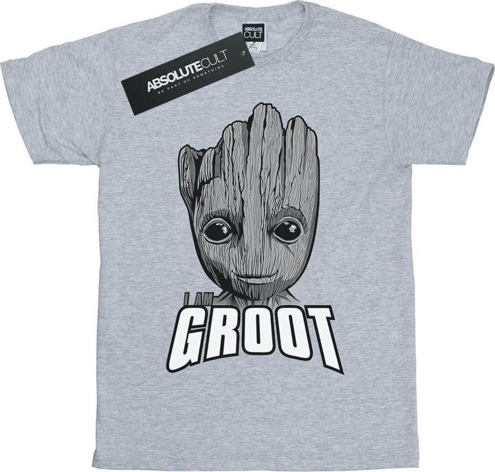 Produktbild Guardians Of The Galaxy Groot Face TShirt (L)