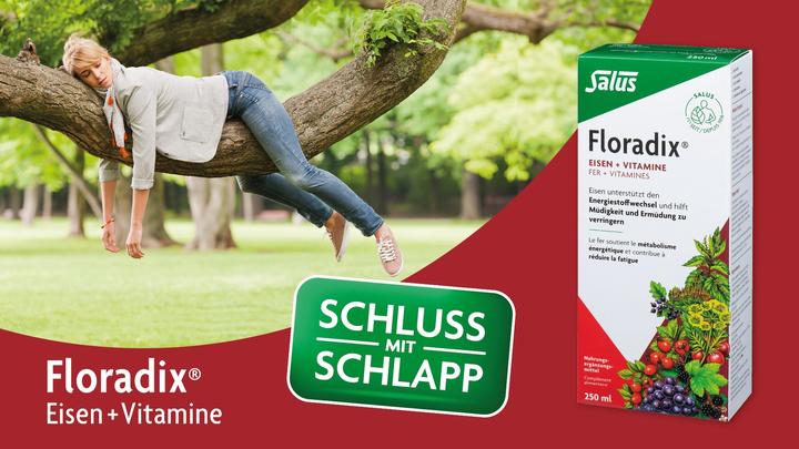 Produktbild Salus Eisen + Vitamine Kaps (neu) (1 Stück, Kapseln, 73 g)