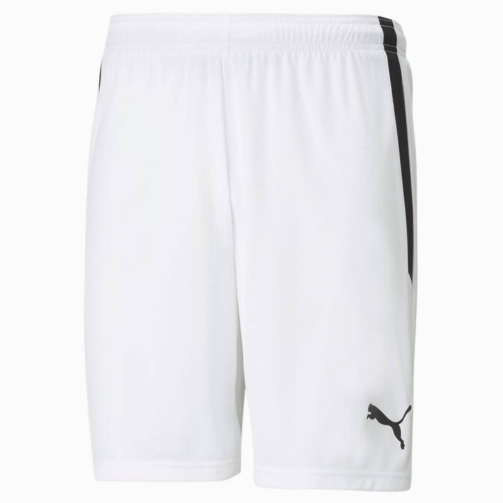 Actual product image Puma teamLIGA Shorts-704924 (L)