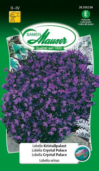 Immagine prodotto Samen Mauser Lobelia Crystal Palace, Maschio fedele (Semi di piante)