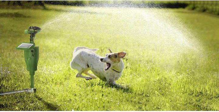 Immagine prodotto Gardigo Repellente solare per animali