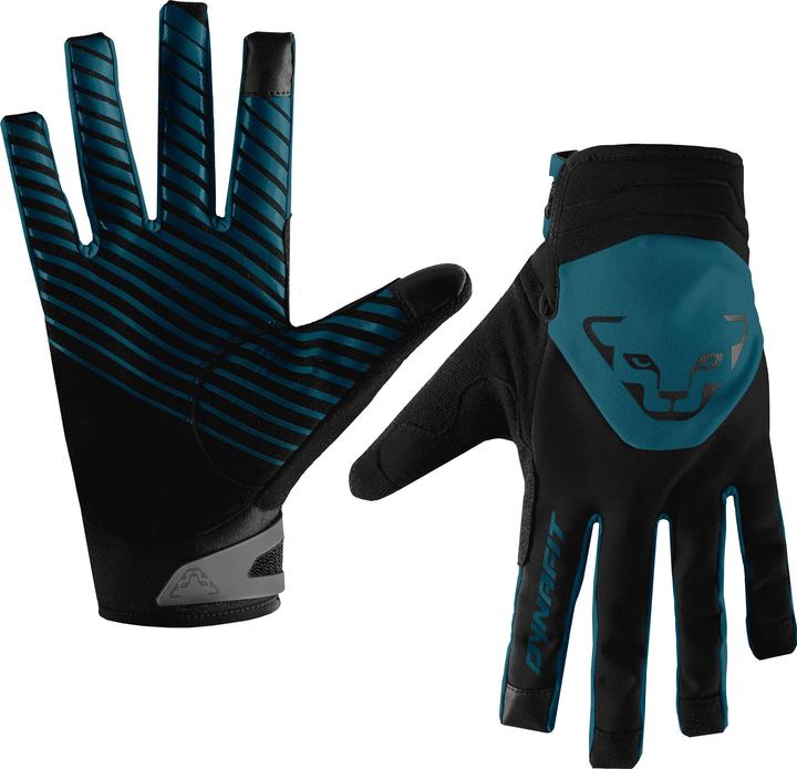Produktbild Dynafit Radical Softshell Handschuhe (XL)