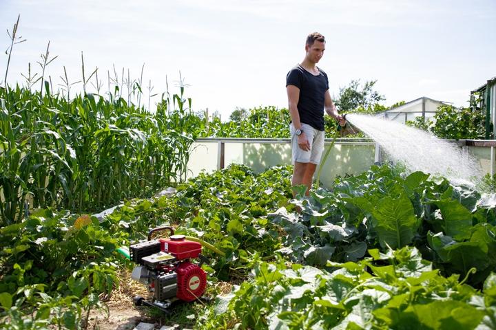 Image du produit AL-KO Pompe à moteur à essence (Pompe de jardin)