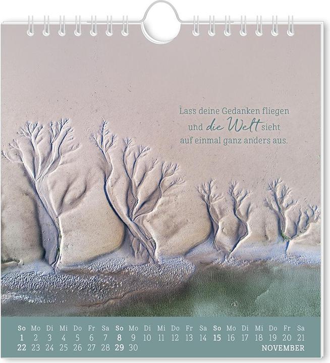 Produktbild Postkartenkalender 2026 Strandgut (16 x 17 cm, Deutsch)