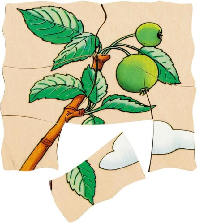 Actual product image Beleduc Apple (30 pieces)