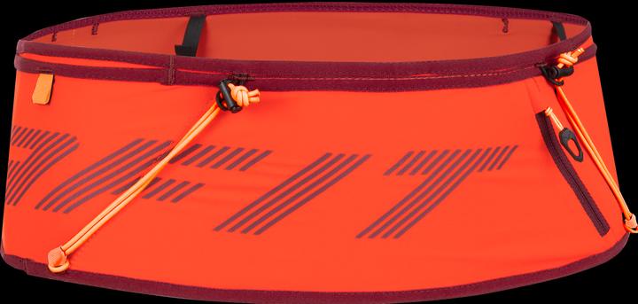 Actual product image Dynafit Running Belt