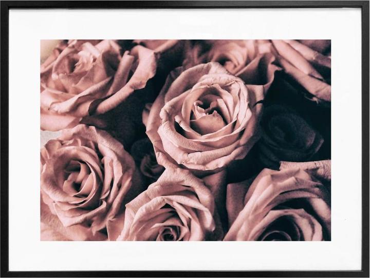Image du produit Trenddeko Roses roses de style Vintagestyle (30 x 24 cm)