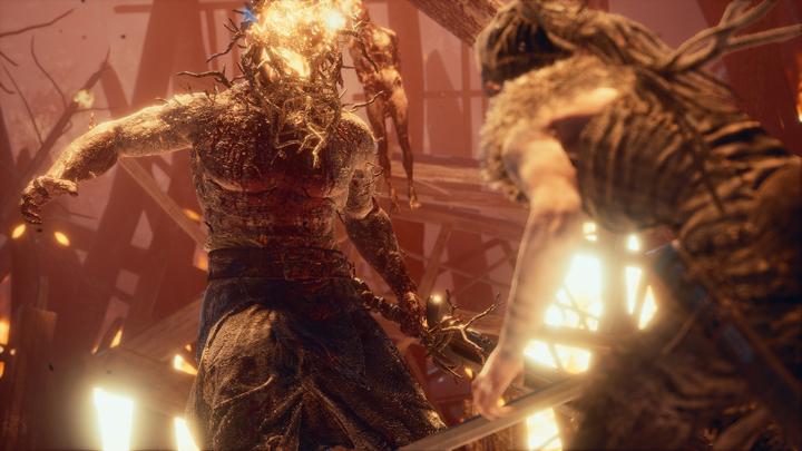Image du produit Sony Hellblade : Senuas Sacrifice (PS4, EN)
