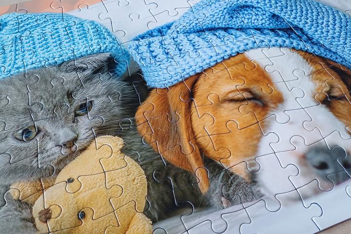 Immagine prodotto Selecta Spielzeug Puzzle con gattino e cane addormentato, 100 pezzi. (100 pezzi)