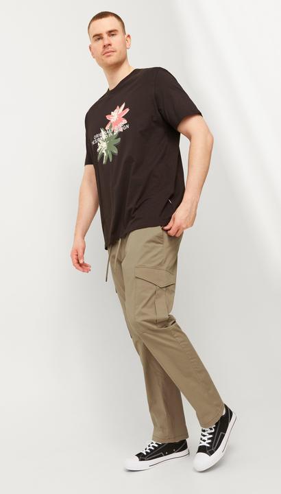 Image du produit Jack & Jones Jpstace Jjsummer Cargo Pls (W44/L32)