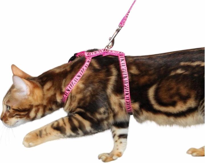 Produktbild Kerbl Katzengeschirr mit Leine 120cm x 10mm, rosa (Katze)