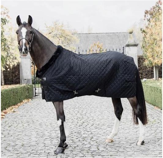 Produktbild Kentucky Horsewear Stalldecke 0g (140 cm)