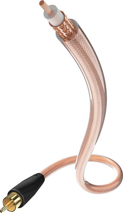 Actual product image Inakustik Star (7.50 m, Cinch)
