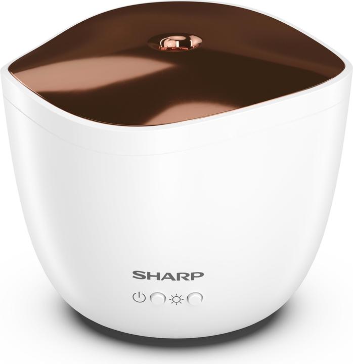 Immagine prodotto Sharp DF-A1E-W