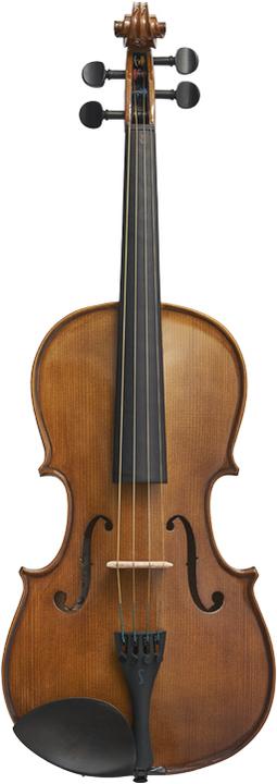 Stentor Student II (Bratsche, 1/4)