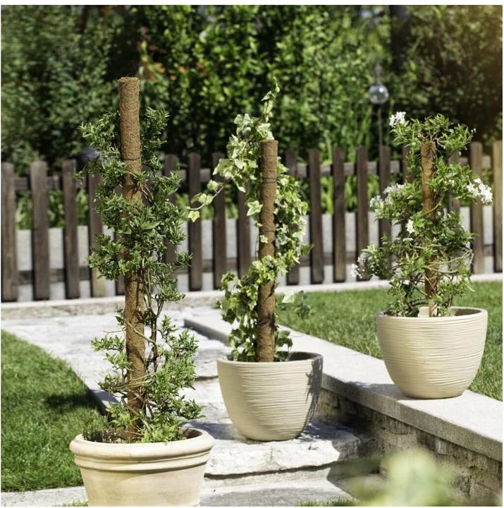 Actual product image Windhager Plant stick coconut (80 cm, 4.50 cm)