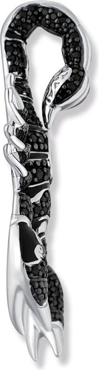 Produktbild Seinerzeit Spike Skorpion Anhänger (Silber 925, Emaille)