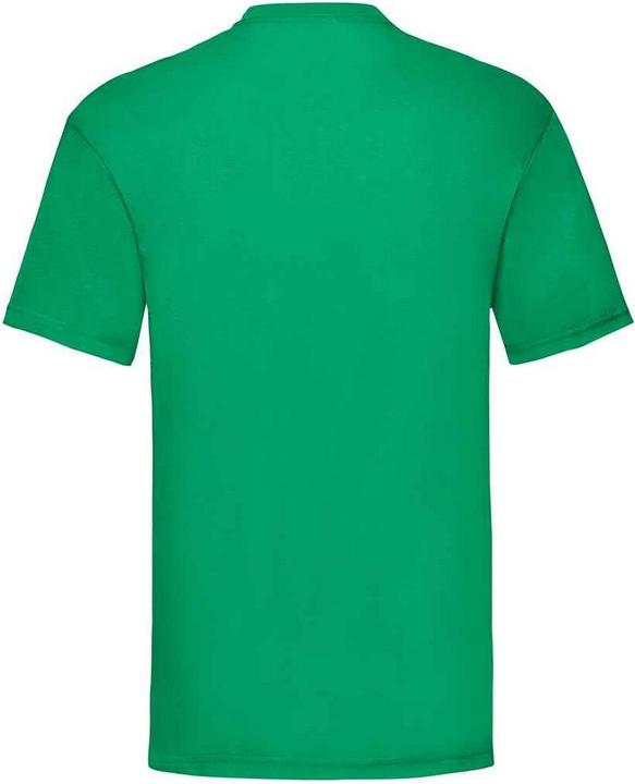 Actual product image Fruit of the Loom Mens Valueweight T-Shirt (M)