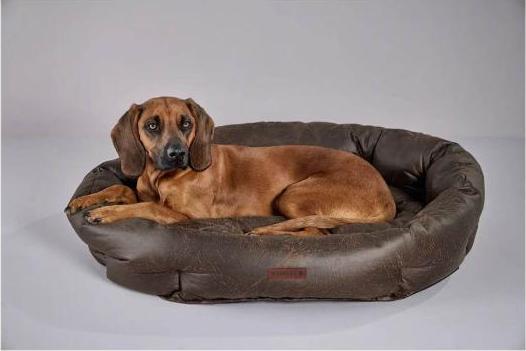 Image du produit Wolters Vintage (Chien)