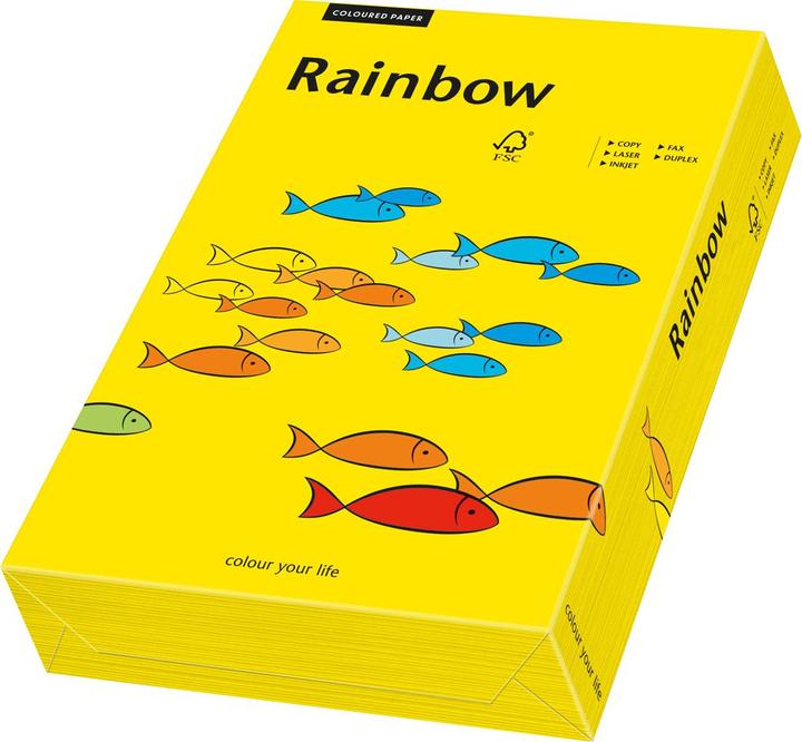 Produktbild Rainbow Kopierpapier farbig A4 (160 g/m², 250 x, A4)