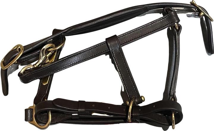 Image du produit Premiere Equitation