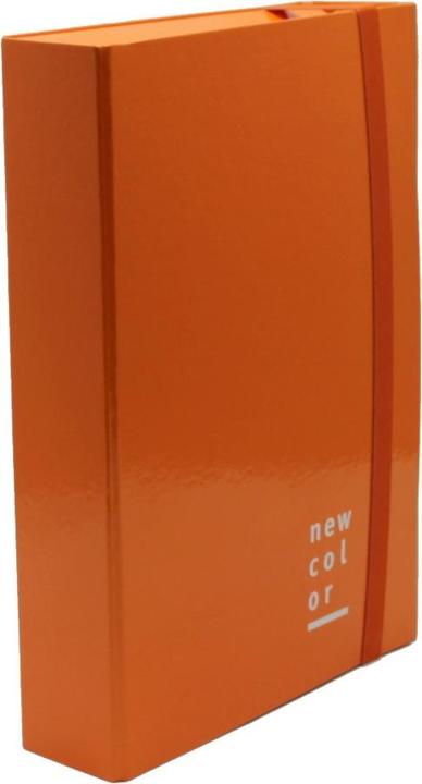 Actual product image Brefiocart New Color binder Orange (A4)