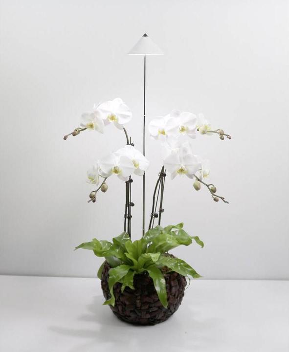 Produktbild Colibri SUNLiTE weiss (LED, 230 V)