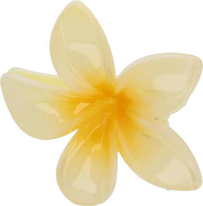 Actual product image Trisa Fashion Frangipani Set Haarklammern & Clip Gelb 5 Stk. (5 pcs.)