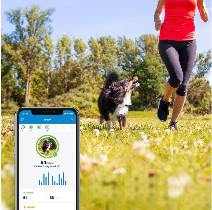 Produktbild Tractive Dog 4 GPS Tracker für Hunde (One Size, Hund, Allgemein)