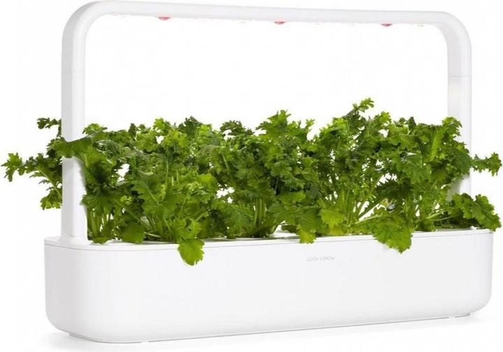Produktbild Click and Grow Saatgut Wasabi-Senf 3er-Pack (Kräutersamen)