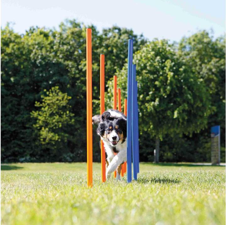 Actual product image Trixie Fun Agility Slalom (Agility)