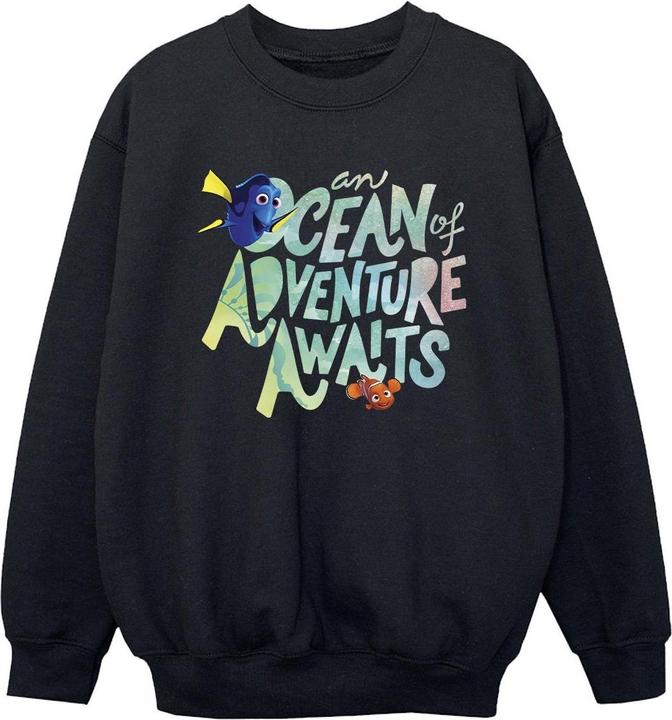 Produktbild Disney Finding Dory Ocean Of Adventure Sweatshirt Jungen (152, 158)