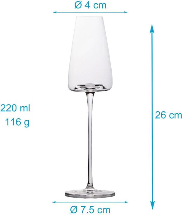 Actual product image Intirilife Champagne glass set 220ml (22 cl, 4 Glasses, Champagne glasses)