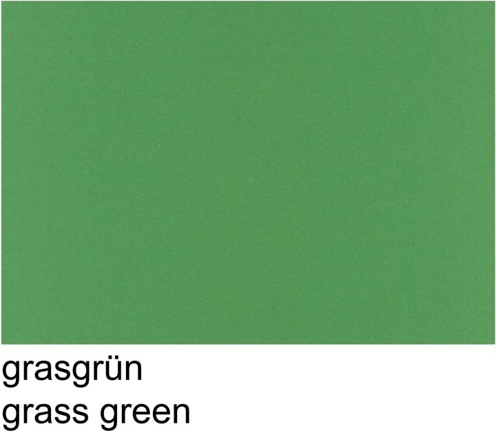 Actual product image Papyrus Colored clay drawing paper (130 g/m², 100 x)