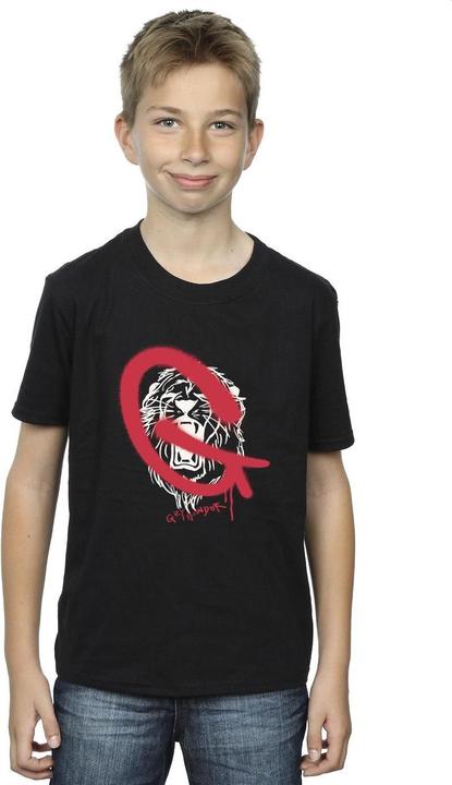 Immagine prodotto Gryffindor Pop Spray Maglietta Ragazzi (128)