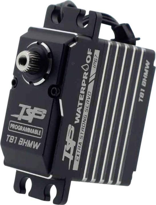TSP Racing Servo T81 BHMW 45 Kg Waterproof IP67 Standard