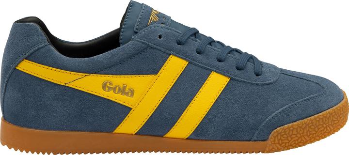 Gola Harrier (46)