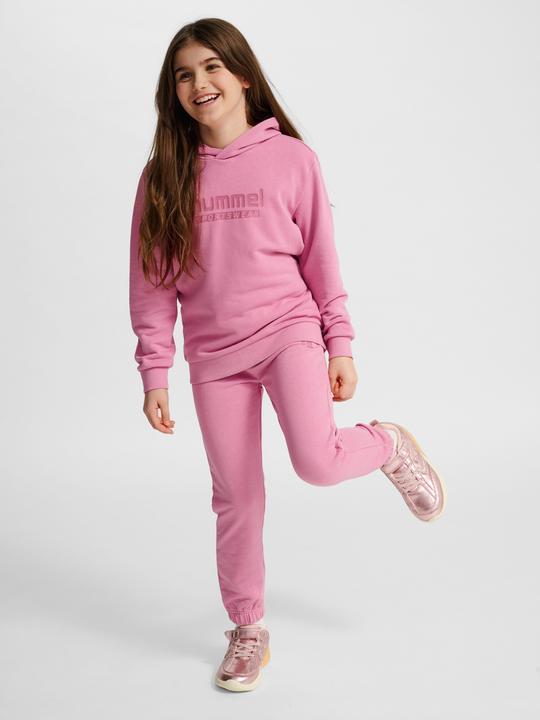 Image du produit hummel hmlJR BASE HOODIE (34, 35, 36, 37, 38, 39, 40)