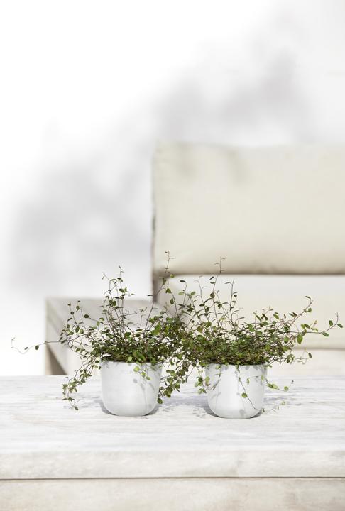 Produktbild Ecopots Oslo Mini (19 cm)