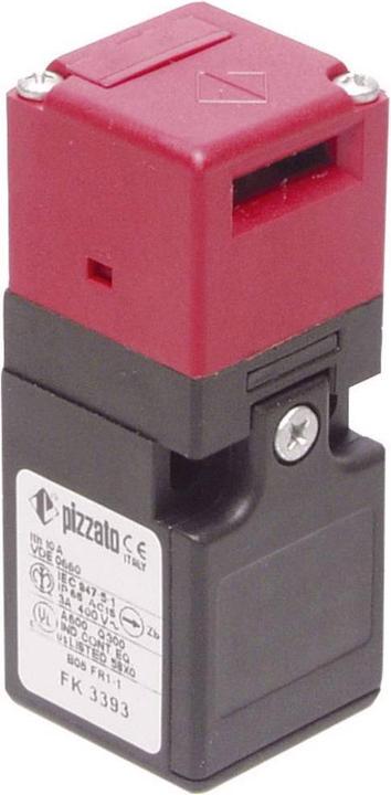 Actual product image Pizzato Elettrica Safety switch 250 V/AC 6 A with separate actuator