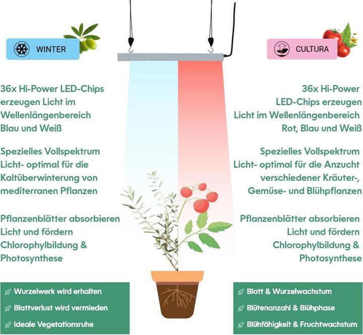 Image du produit Parus by Venso Lampe de croissance GrowLight Quattro 60W, stimulation de la photosynthèse et de la f (LED, 245 V)