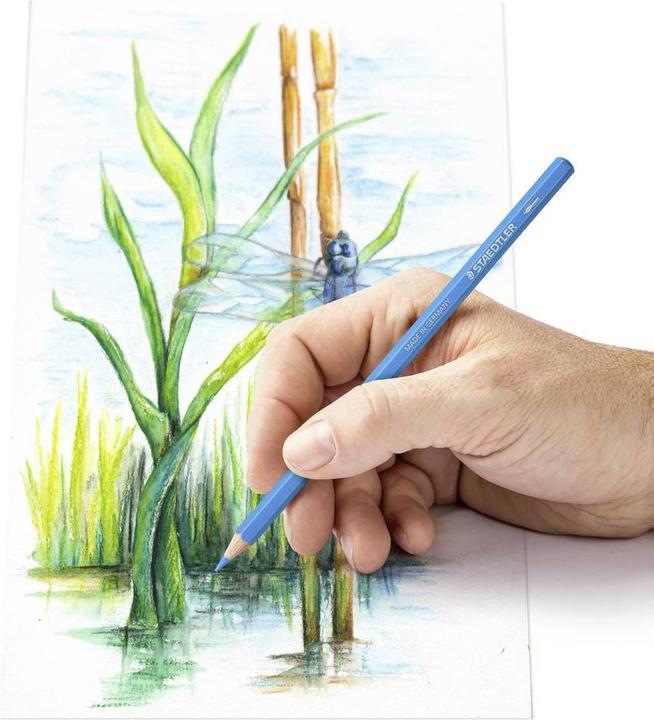 Immagine prodotto Staedtler 146 Matite colorate ad acqua 10C (24 colori, 24 x)
