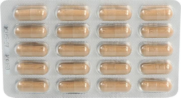 Produktbild Luvos Heilerde (40 Stück, Kapseln, 56 g)
