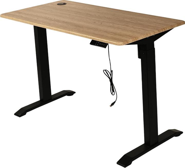 Image du produit Ergovia Bureau assis/debout (110 x 52 x 122 cm)