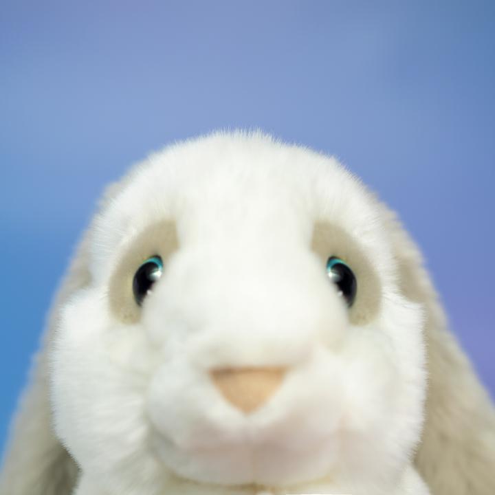 Produktbild Trudi Hase Clemente (20 cm)