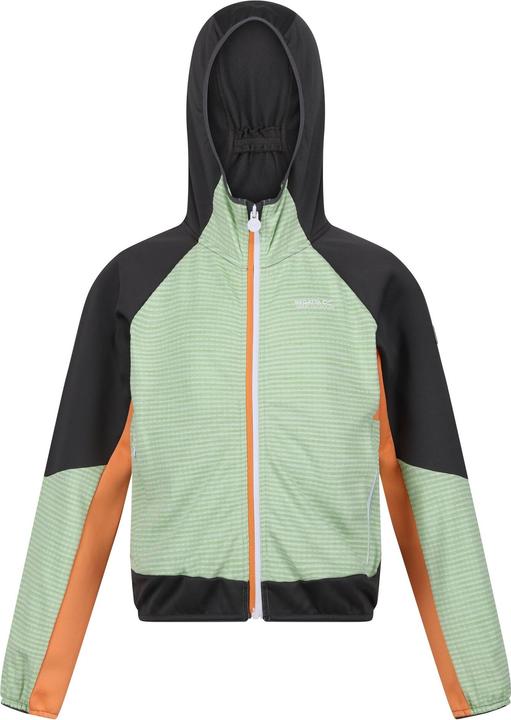 Produktbild Regatta Prenton II Softshelljacke mit Kapuze (104)