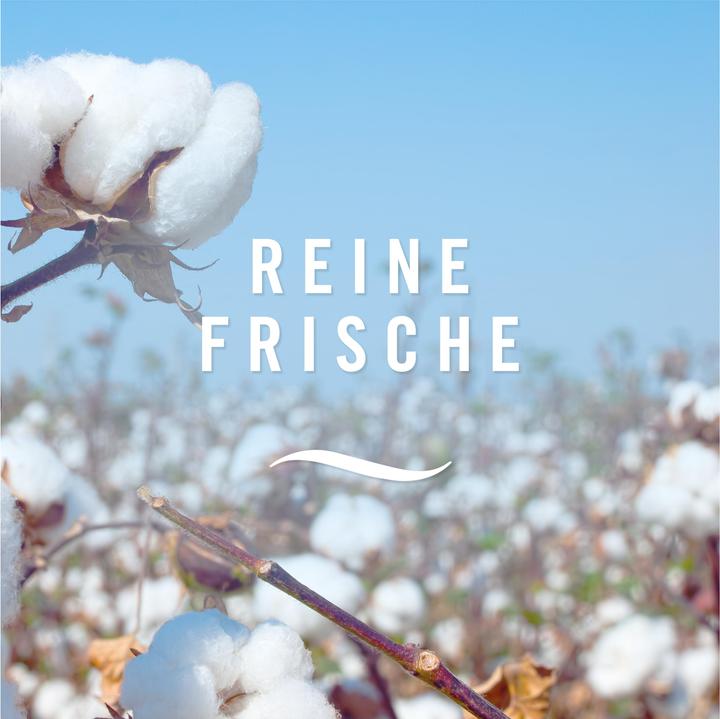 Image du produit Febreze Reine Frische (Spray)