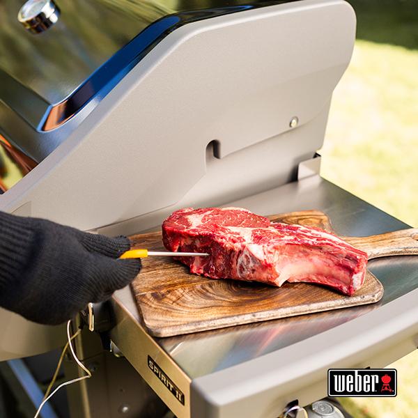 Actual product image Weber iGrill 3
