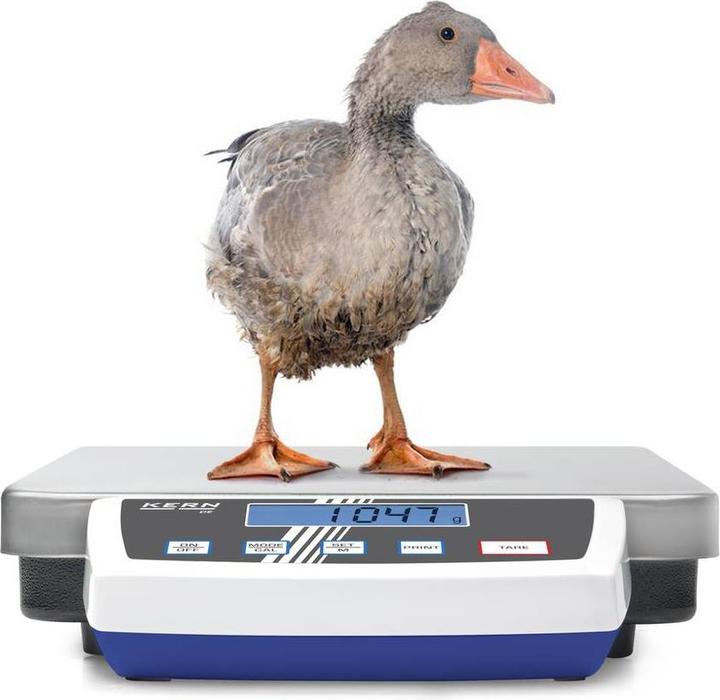 Actual product image Kern Platform scale Weighing range (ma